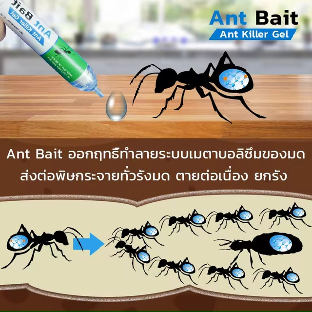 ANT BAIT ӨѴ šӨѴ ͡ӨѴ    ͦ Ҧ