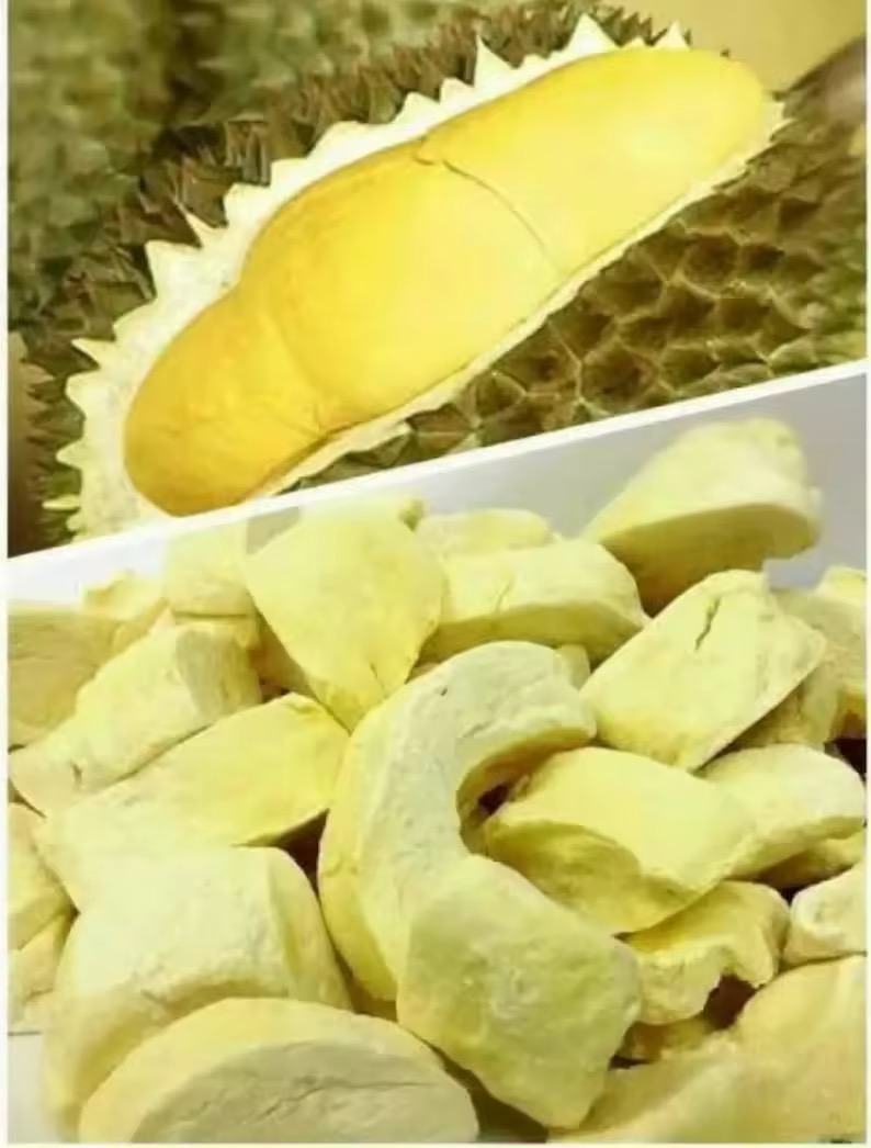觿 ¹͹ͧ ¹ի ¹ͺͺ Durian Freeze dried&#8203;
