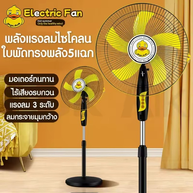 Ѵ () ѺдѺ Ѵ駾 Ѵ硵駾 STAND FAN ѺдѺ 3 дѺ 16  Ѵ 5㺾Ѵ §º F20 (͡.934-2558)