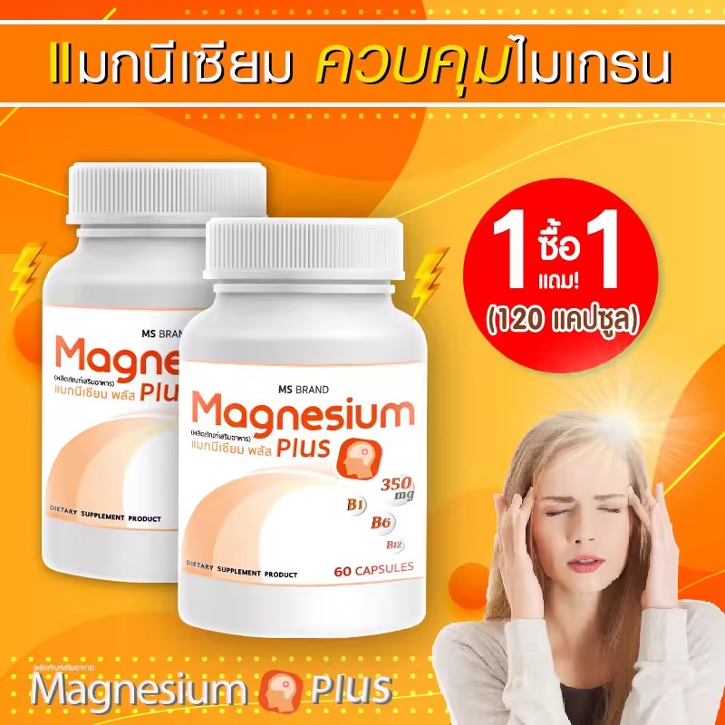 MS Magnesium Plus  ԵԹ B1 B6 B12 ͧѹù اкҷ 1  1 [120 ᤻]