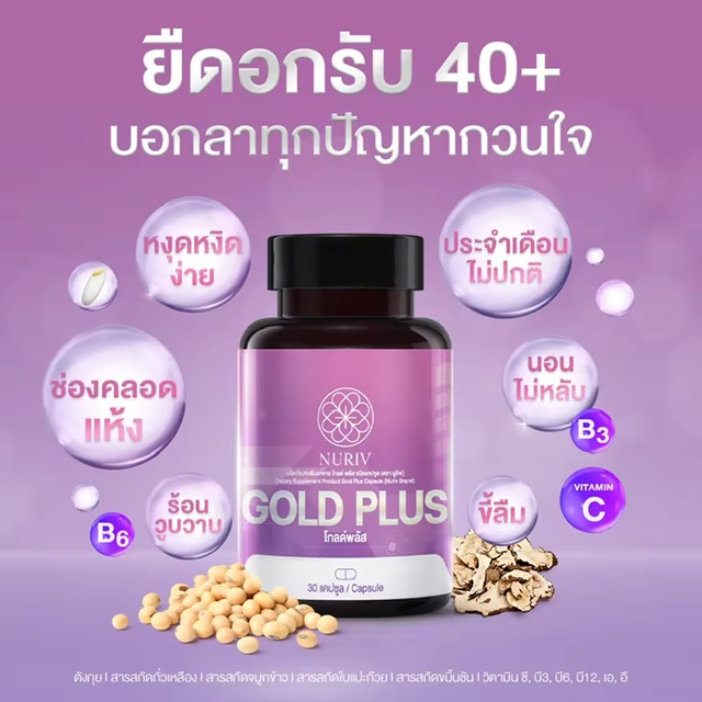 ·ͧ ·ͧ ԵԹ·ͧ 40+ѧ ѭҡǹ &#128162; ٺҺ  ŧ  ʺ ѹ  ͹Ѻ  Gold Plus